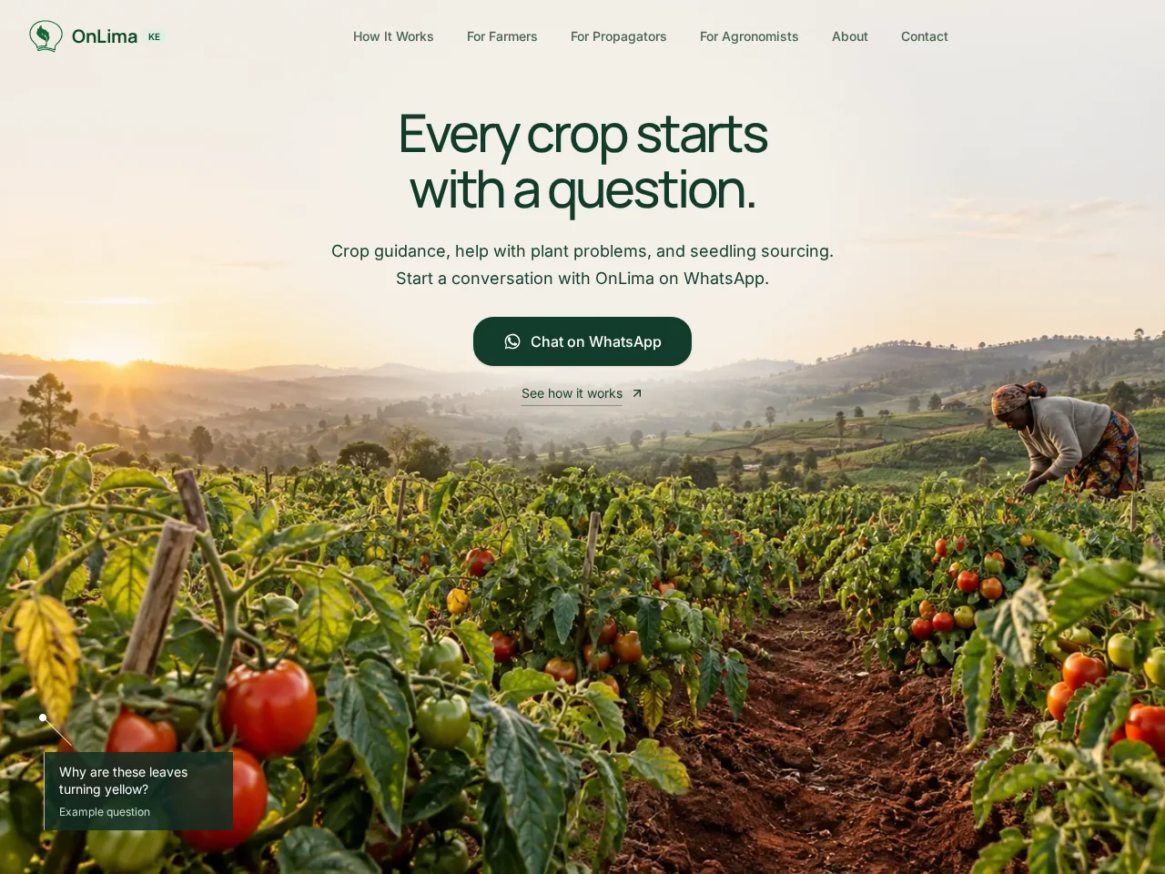 OnLima website showing agricultural guidance and seedling sourcing on WhatsApp